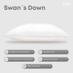 20swans20down20005.jpg
